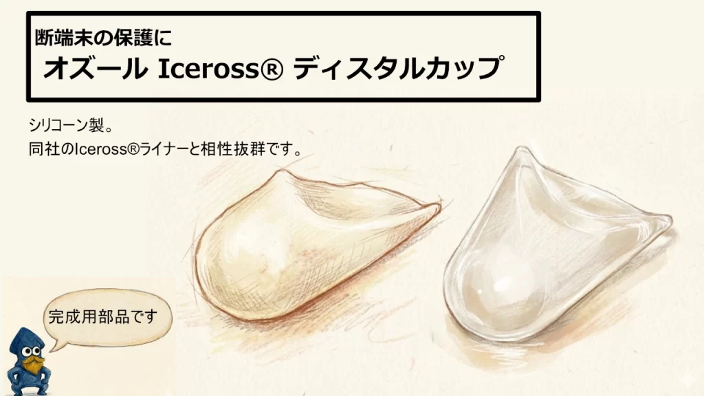 オズール社のディスタルカップ
