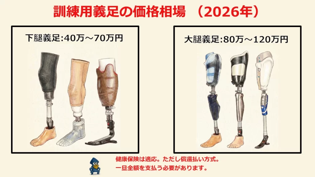 下腿義足(膝下からの義足): 40万~70万円
大腿義足(膝上からの義足): 80万~120万円